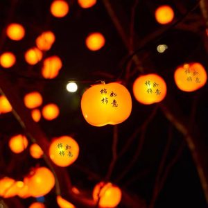 Duckkoko Persimmon Everything Goes Well String Lights 33ft 40pcs Decoration Lantern Lights for Home Decor