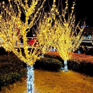 Duckkoko Pastel Plug in Easter String Lights Wedding Party Bedroom Classroom Tree Decor 33ft 100 lights