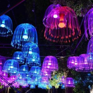 Duckkoko Fiber Optic Lights Cherry Flower Ceiling Trees Spider Chandeliers Jellyfish Lights