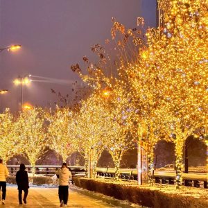 Duckkoko Pastel Plug in Easter String Lights Wedding Party Lighting Up Tree Hanging Decorations 66ft 200 lights