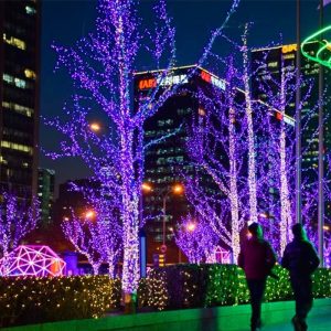 Duckkoko Connectable 10 Meters 100 Lights RGB Seven Colors Synchronization String Lights Indoor Outdoor Decor