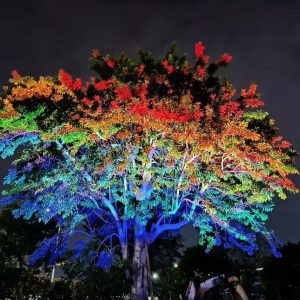 Duckkoko Smart LED Flood Light Outdoor Color Changing Floodlights