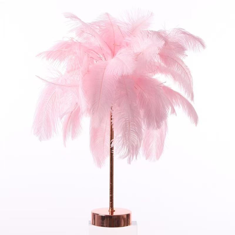 DUCKKOKO 2022 Ostrich Feather Table Lamp, Colored Light, Ironwork Night Light, Remote Control led Dandelion Lamp, Copper Wire Lamp, Remote Control Dimming - Image 9